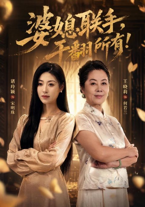 婆媳联手，干翻所有海报