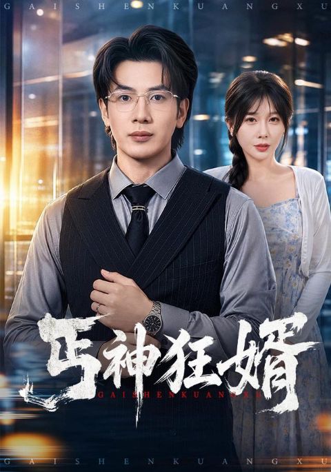 丐神狂婿海报