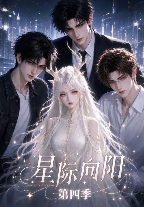 星际向阳第四季海报