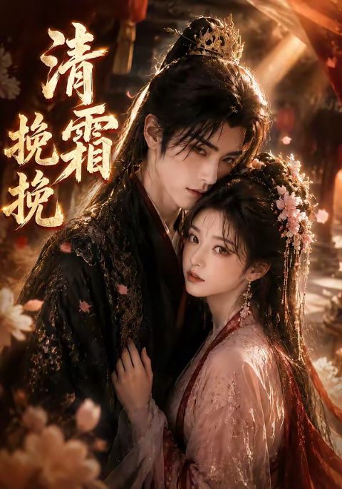 清霜挽挽海报