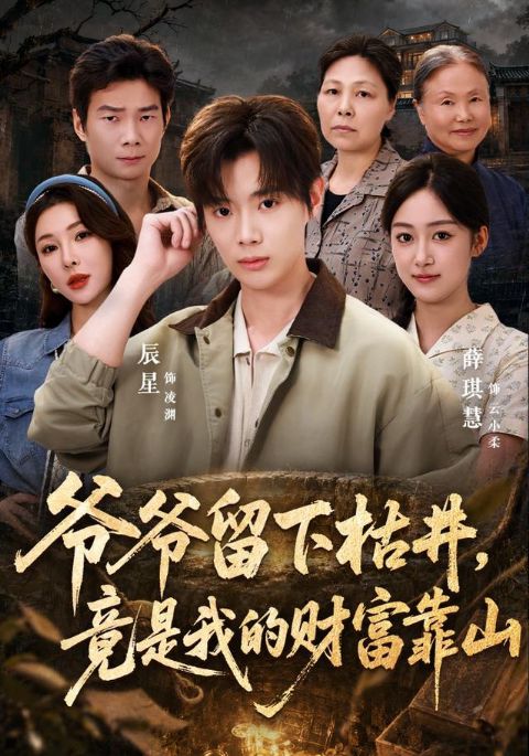 爷爷留下枯井，竟是我的财富靠山海报