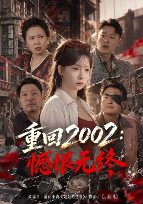 重回2002：憾恨无终海报