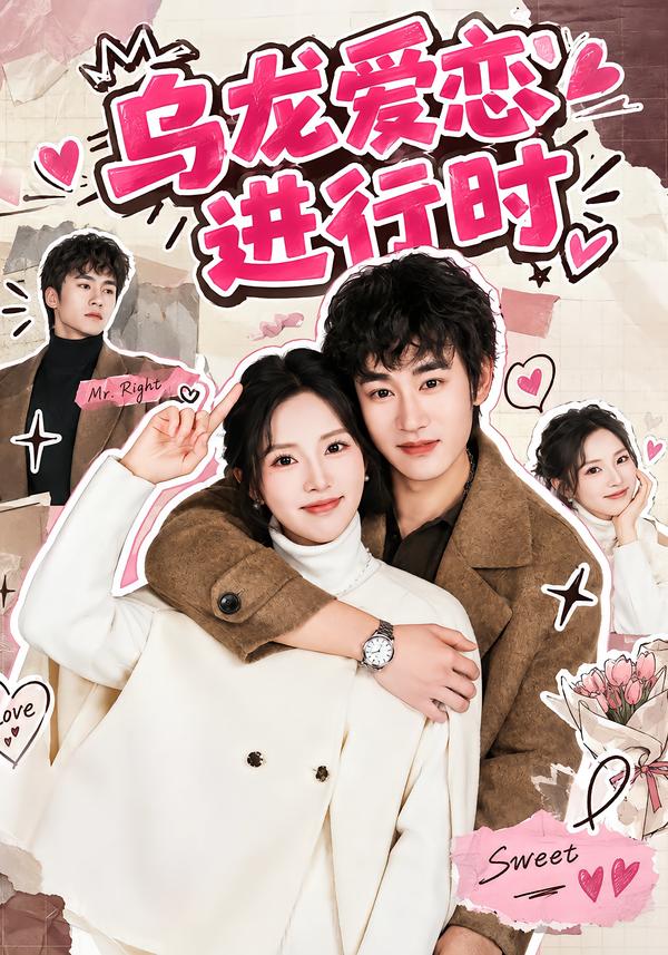 乌龙爱恋进行时海报