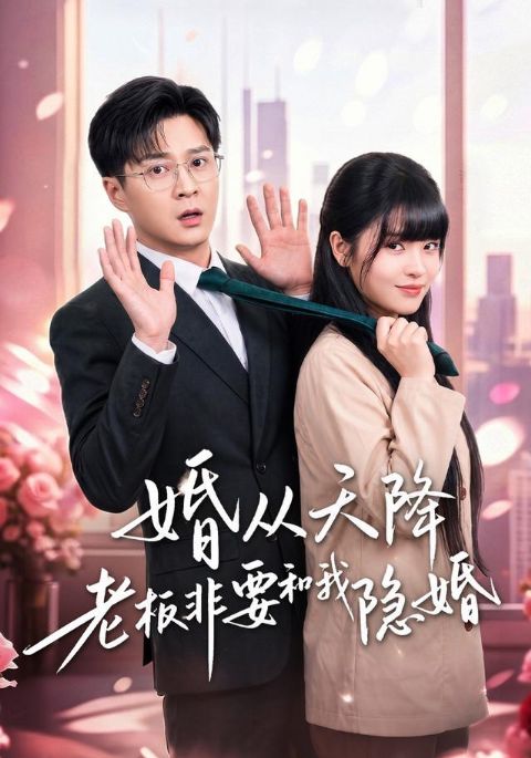婚从天降老板非要和我隐婚海报