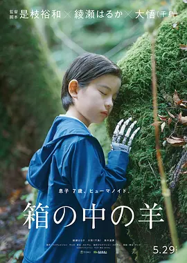 盒子里的羊[电影解说]海报