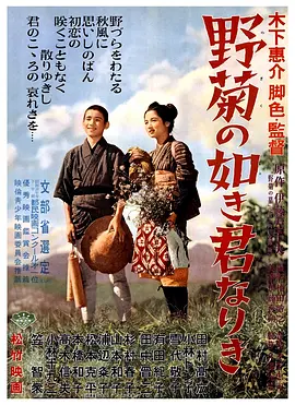 野菊之墓1955[电影解说]海报