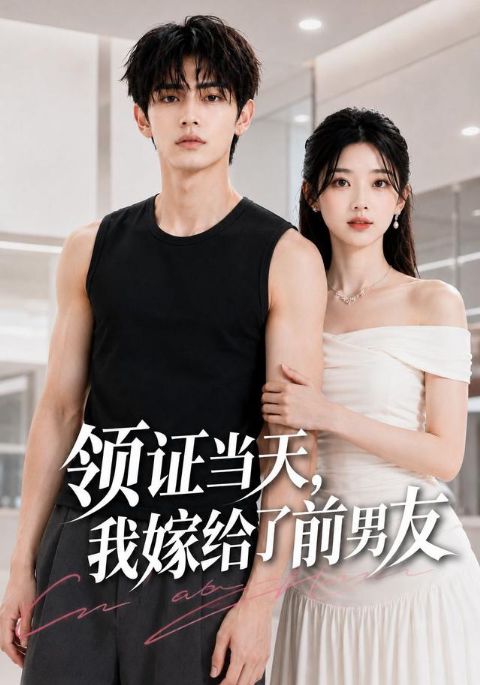 领证当天，我嫁给了前男友海报