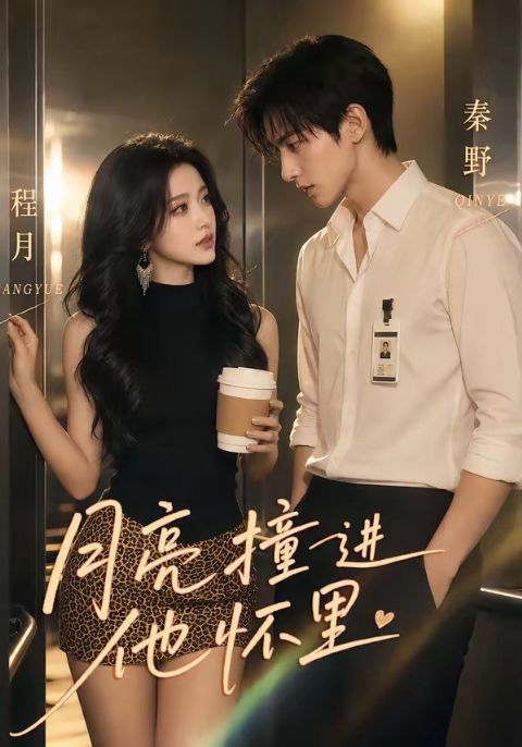 月亮撞进他怀里海报