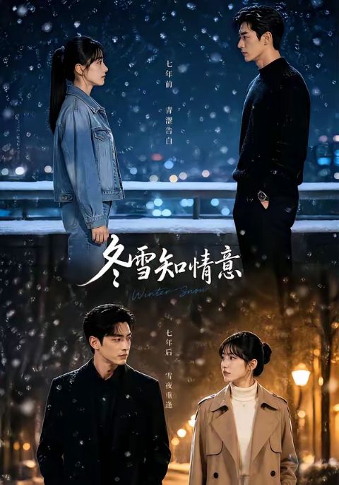 冬雪知情意海报
