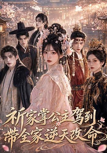 祈家掌公主驾到，带全家逆天改命2026海报