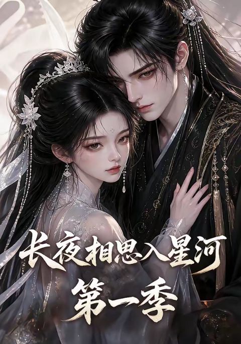 长夜相思入星河第一季海报