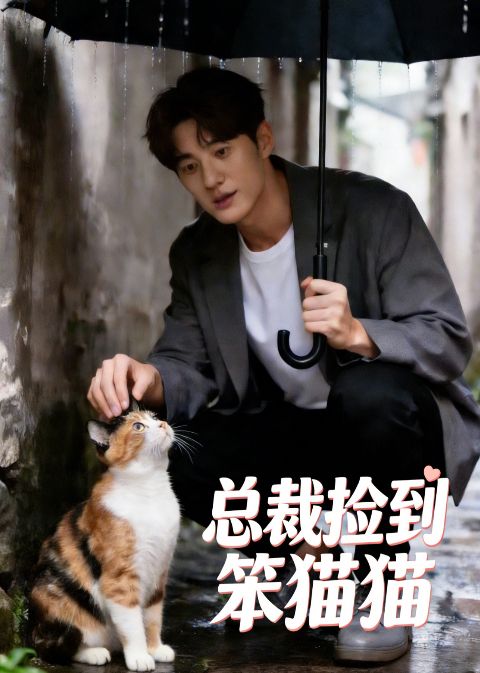 总裁捡到笨猫猫海报