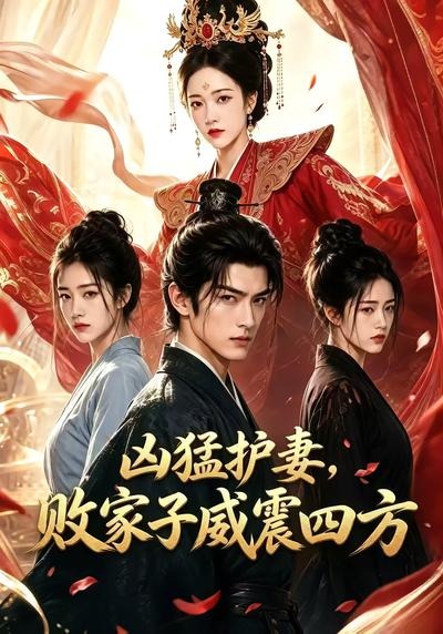 凶猛护妻，败家子威震四方海报