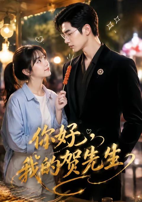 你好，我的贺先生海报