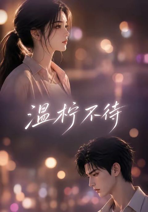 温柠不待海报