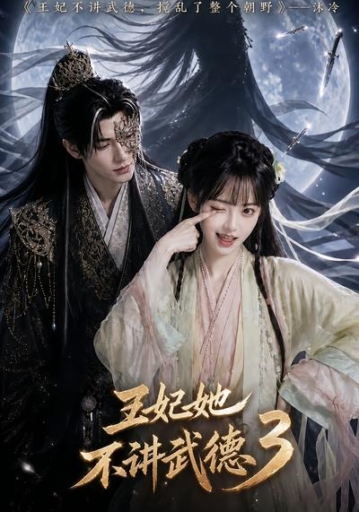 王妃她不讲武德3海报