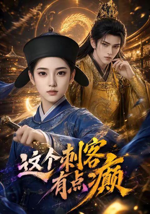 这个刺客有点癫海报