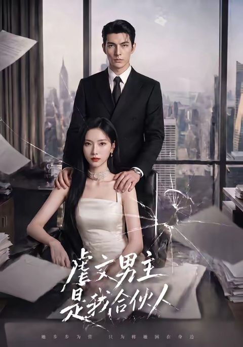 虐文男主是我合伙人海报