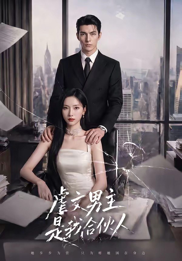 虐文男主是我合伙人海报