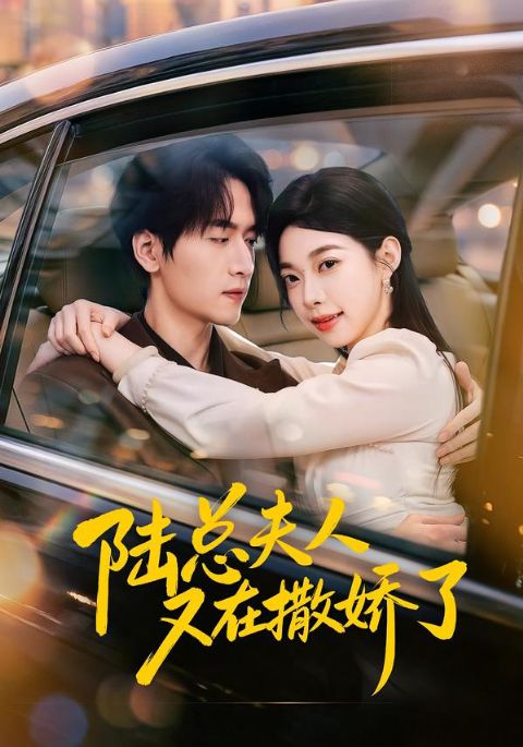 陆总夫人又在撒娇了海报