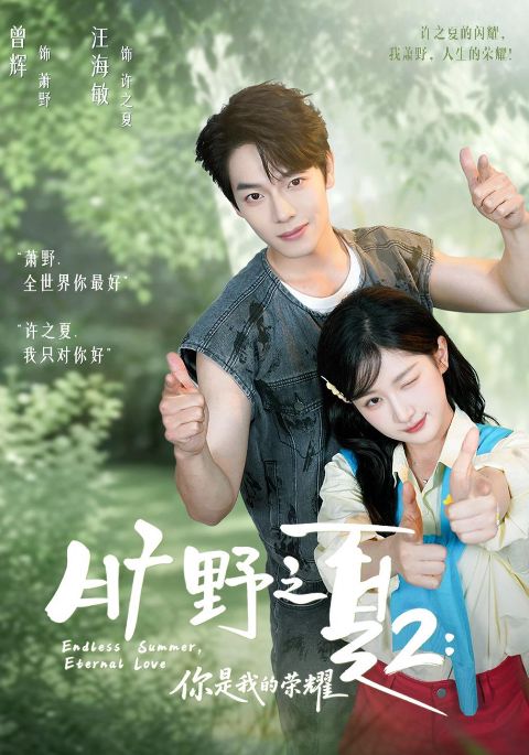 旷野之下2：你是我的荣耀海报