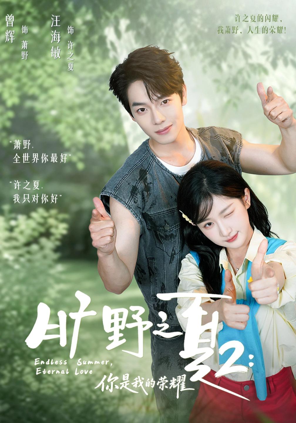 旷野之下2：你是我的荣耀海报