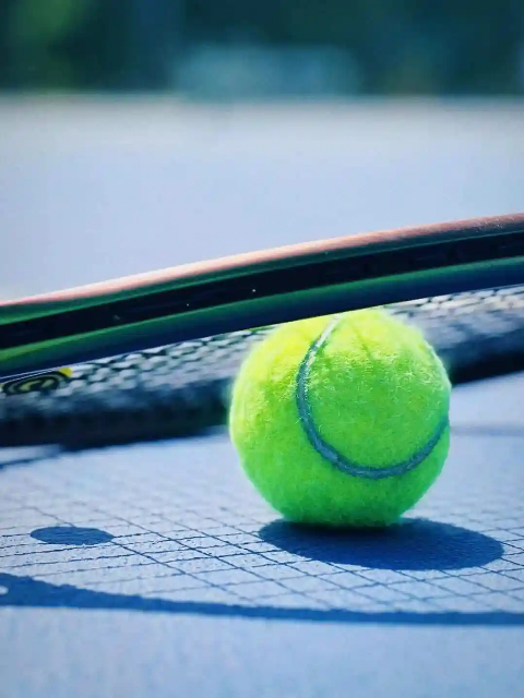 WTA500瓜达拉哈拉站女单第二轮：帕里VS斯特恩斯海报