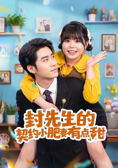 封先生的契约小肥妻有点甜海报