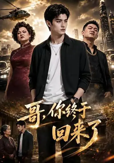 哥，你终于回来了海报