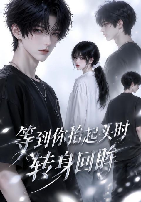 等到你抬起头时转身回眸海报