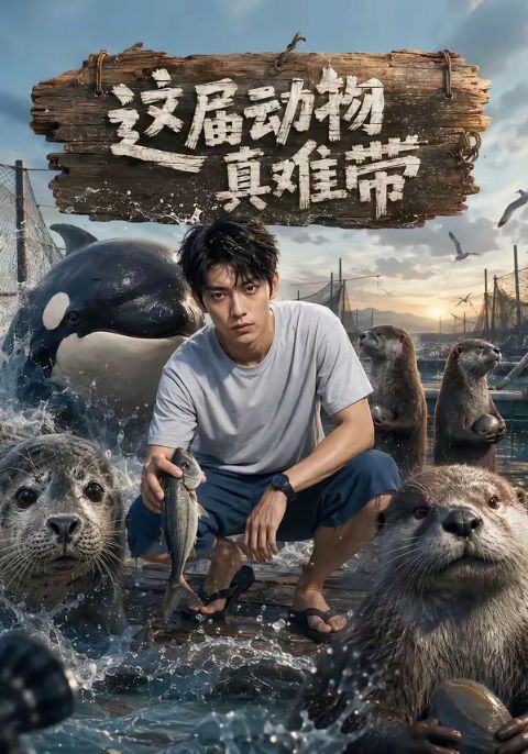 这届动物真难带海报