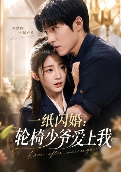 一纸闪婚：轮椅少爷爱上我海报