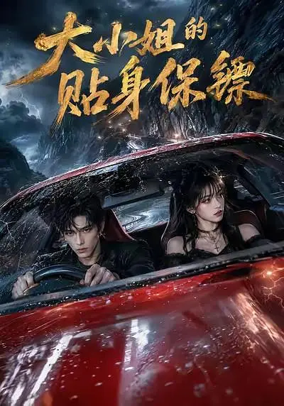 大小姐的贴身保镖海报