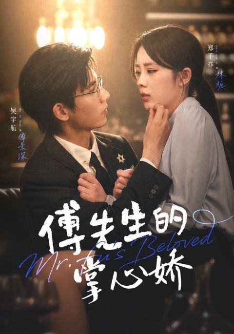 傅先生的掌心娇海报