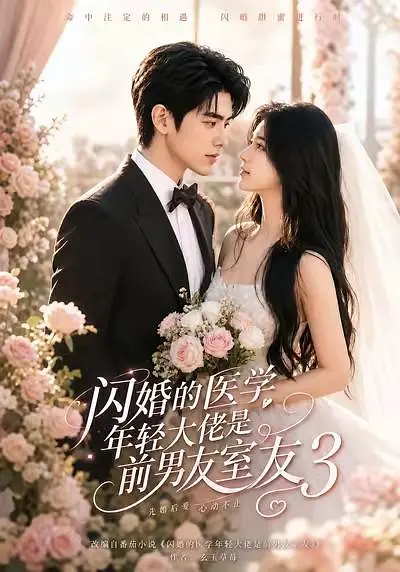 闪婚的医学年轻大佬是前男友室友3海报