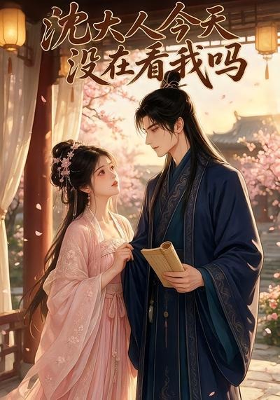 沈大人今天没在看我吗海报
