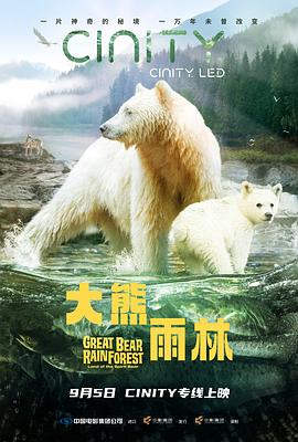 大熊雨林预告片海报