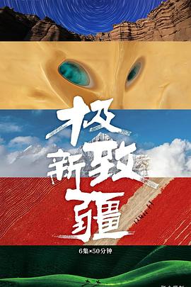极致新疆海报