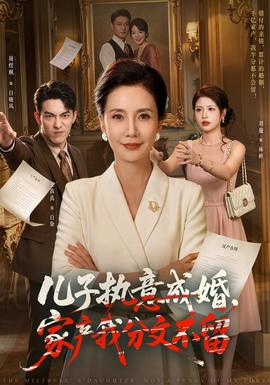 儿子执意成婚，家产我分文不留海报