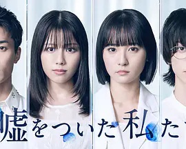 说谎的我们海报