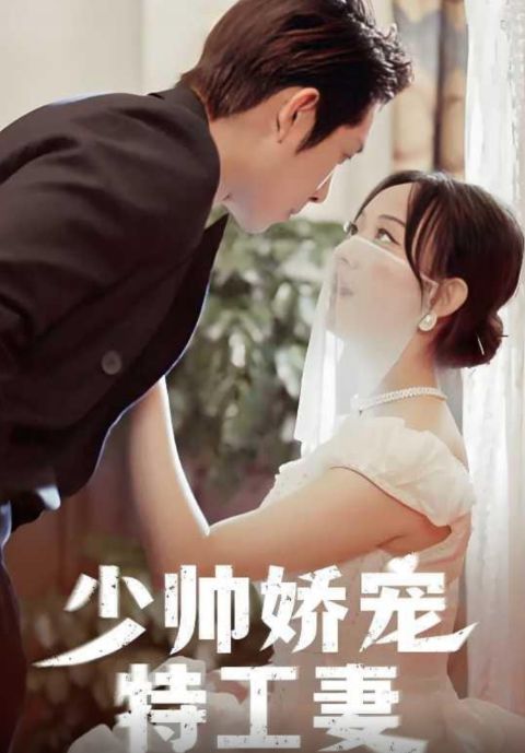 少帅娇宠特工妻海报