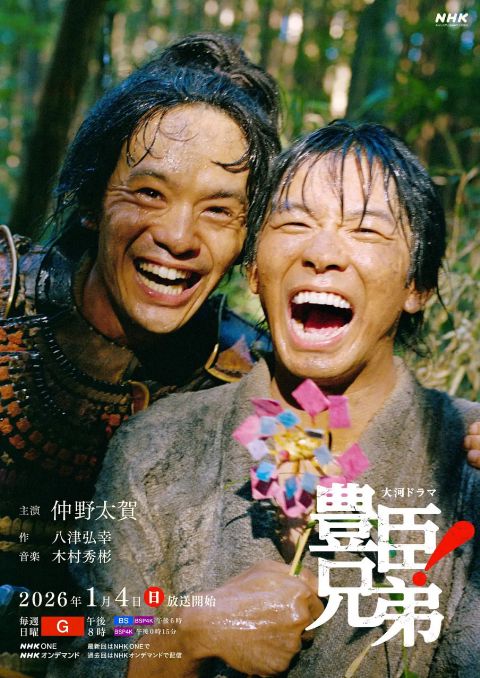 丰臣兄弟海报