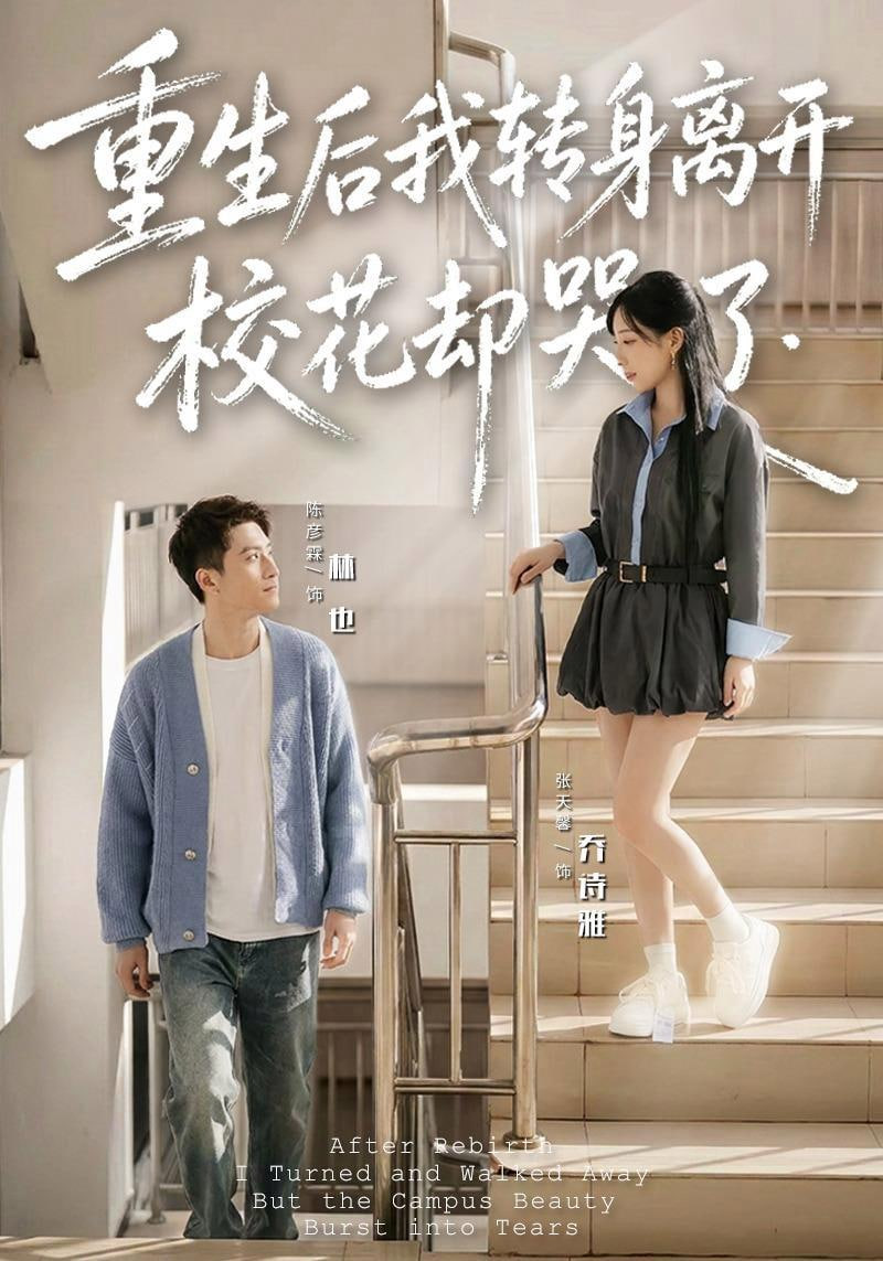 重生后我转身离开，校花却哭了海报