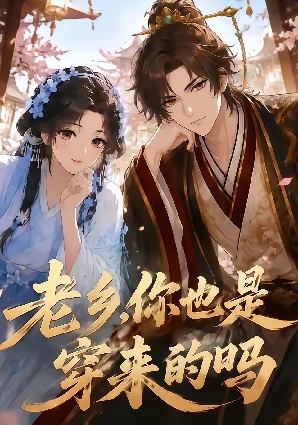 老乡，你也是穿来的吗海报