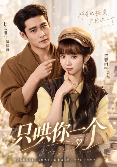 只哄你一个海报