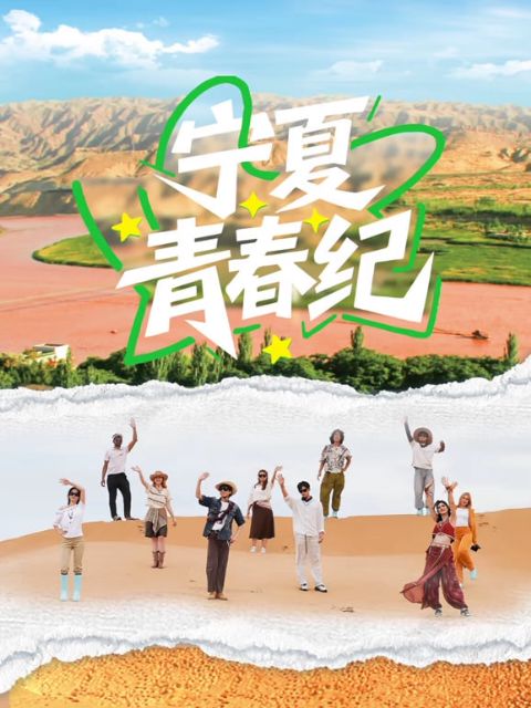 宁夏青春纪海报