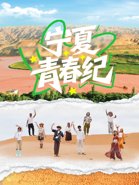 宁夏青春纪海报