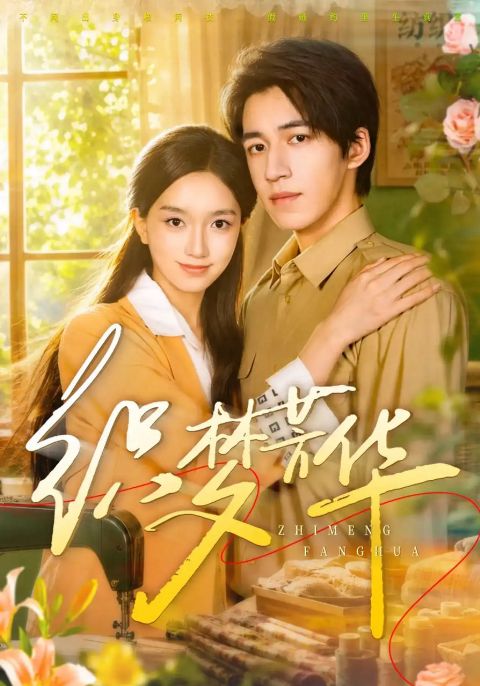 织梦芳华海报