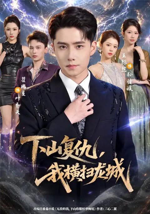 下山复仇，我横扫龙城海报