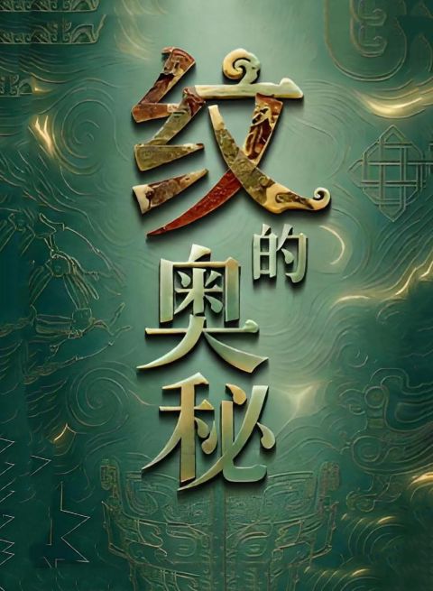 纹的奥秘海报